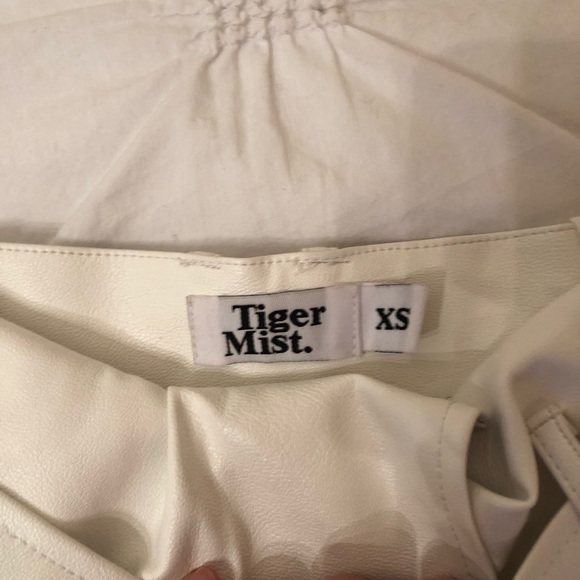 Tiger Mist Leather Mini Skirt - Picture 6 of 8